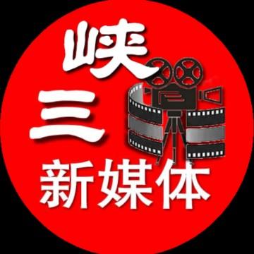 三峡影媒小猪斑纳头像