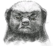 Mr_七分的个人资料头像