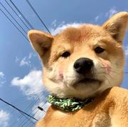 剑雨skr的个人资料头像