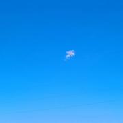 Skyy的个人资料头像