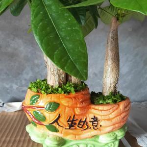 欢欢杂谈头像