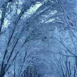 鱼的眼泪92326467头像