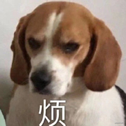 移动堆x机的个人资料头像