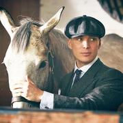 Anqir的个人资料头像