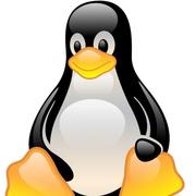 用户5146882729929的个人资料头像