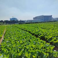 东莞小王生活日记头像