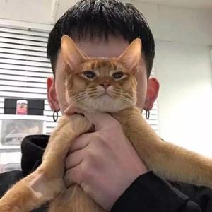 用户7179518960330头像