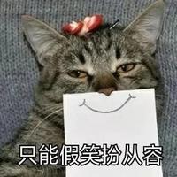andy马525头像