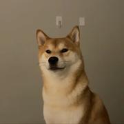 陈末丨的个人资料头像