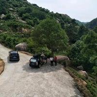 聪慧的上善若水坤头像
