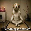 for本尊78603的个人资料头像