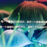 红皮皮虾仁头像