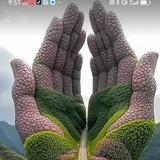 用户9994996118298头像