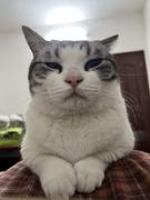 林_宇的个人资料头像