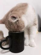 微醺的岁月的个人资料头像