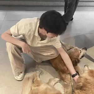 雾中寻路的杖头像