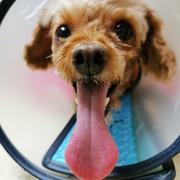 安安797的个人资料头像