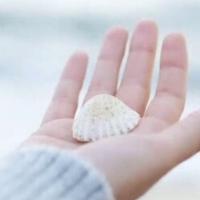 爱思考的灿烂枫叶头像