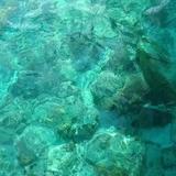 我正在这里存在头像