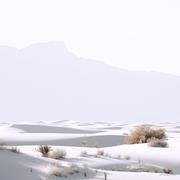 张嘉阳的个人资料头像