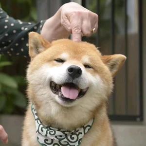 俊俏雪碧knW头像