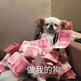 Deνyu头像