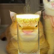 一十六621的个人资料头像