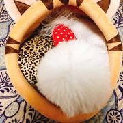 贺海峰apk的个人资料头像