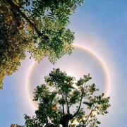 阿白223的个人资料头像