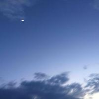 我叫南鹏有头像