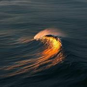 LeoYang的个人资料头像