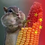 一颗独善其身的香菜头像