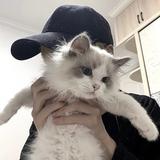 闾丘洛火头像