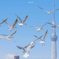 一个秃头打工人头像