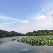 深刻怀念的个人资料头像