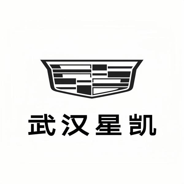 武汉汉阳凯迪拉克头像
