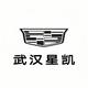 武汉汉阳凯迪拉克头像