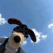 一個切图仔的个人资料头像