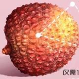 日日昇2025头像