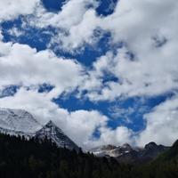 用户8542956650419头像