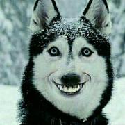 纯文本不含图的个人资料头像