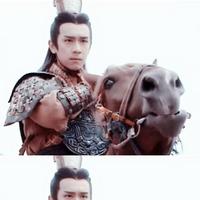 风中追风zz7头像