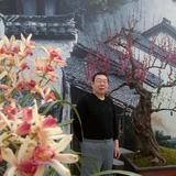 向远方香河头像