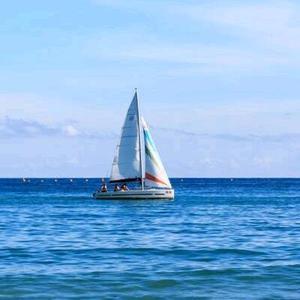 才高八斗海风W7头像