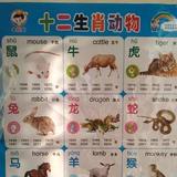 往事如风头像