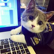 逝尘的个人资料头像