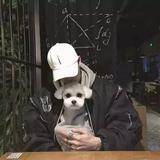 一只大肥鹅啊头像
