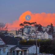 張拾玖的个人资料头像