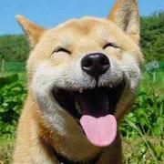 JustMaybe的个人资料头像