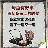 河南东鹏张玉峰头像